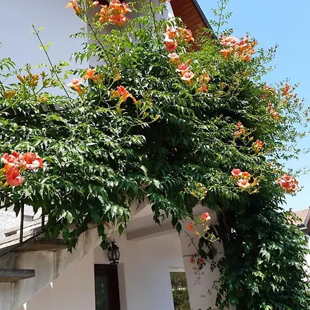 Lisanza Holiday home Sesto Calende