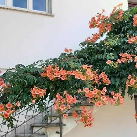 Lisanza